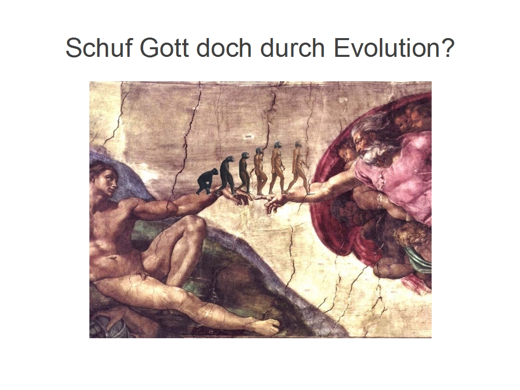 Evolution Schöpfung